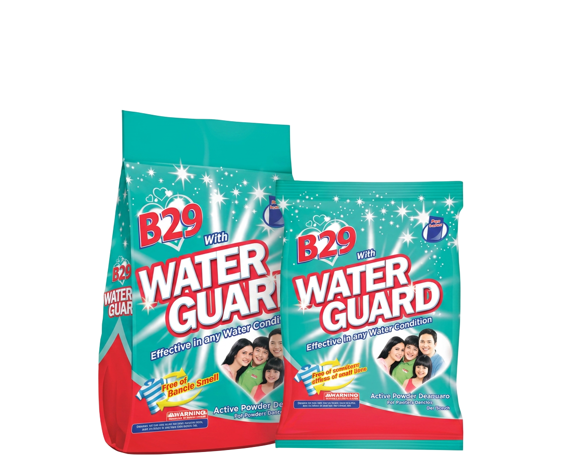 B29 Waterguard Powder Detergent — B29